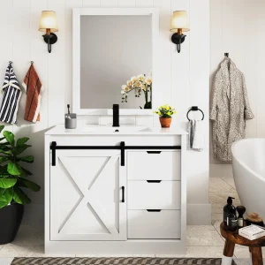 Bathroom Vanity with Sink & Faucet & Mirror